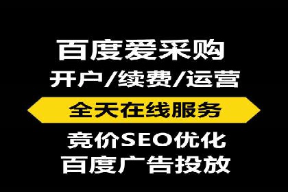 百度竞价入门必看：实操技巧与成功案例
